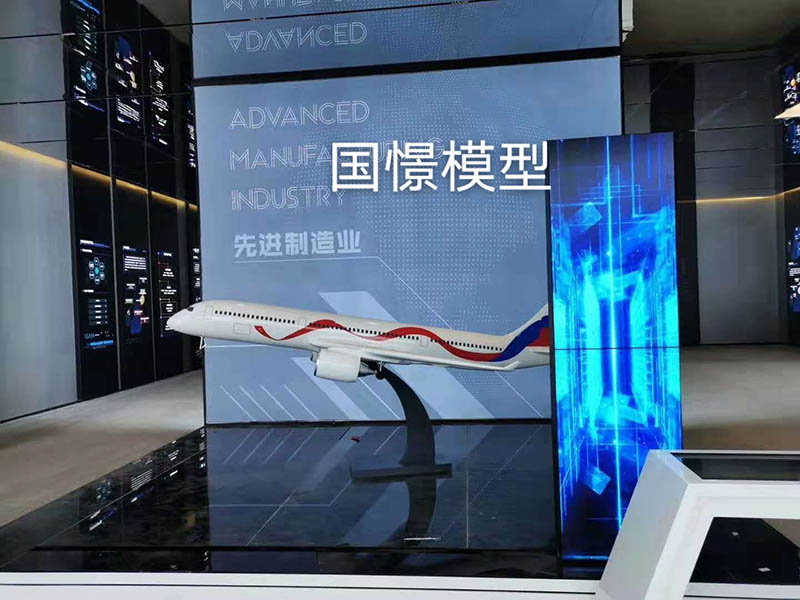黎平县飞机模型